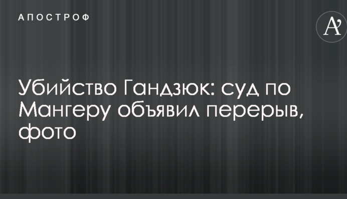 Убийство Гандзюк: суд по Мангеру объявил перерыв, фото