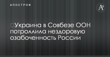 ​Украина в Совбезе ООН потроллила нездоровую озабоченность России