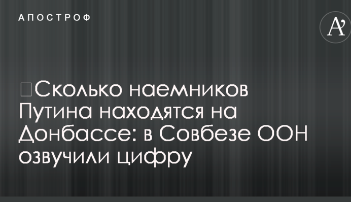 ​Сколько наемников Путина находятся на Донбассе: в Совбезе ООН озвучили цифру