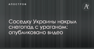Соседку Украины накрыл снегопад с ураганом: опубликовано видео