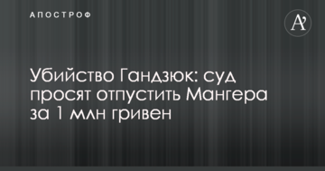 Убийство Гандзюк: суд просят отпустить Мангера за 1 млн гривен