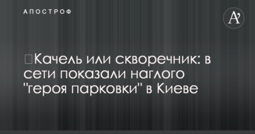 ​Гойдалка або шпаківня: в мережі показали нахабного "героя парковки" в Києві