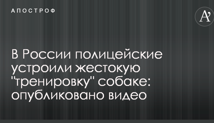 В России полицейские устроили жестокую 