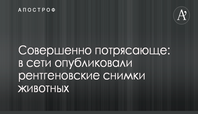 Челсі - Манчестер Юнайтед: відео голів