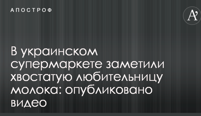 В українському супермаркеті помітили хвостату любительку молока: опубліковано відео