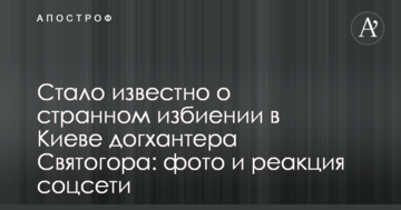 Стало відомо про дивне побиття в Києві догхантера Святогора: фото і реакція соцмережі