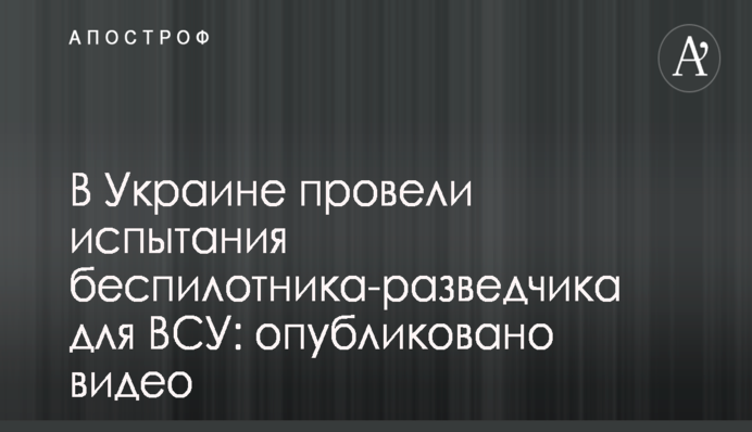 Рабинович заявил об отсутствии у главы Кабмина опыта и знаний для управления страной