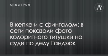 В кепке и с фингалом: в сети показали фото колоритного титушки на суде по делу Гандзюк