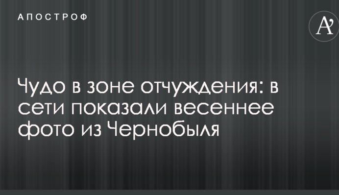Чудо в зоні відчуження: в мережі показали весняне фото з Чорнобиля