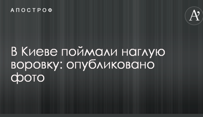 У Києві спіймали нахабну злодійку: опубліковано фото