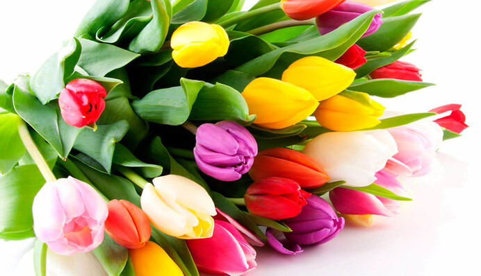 Поздоровлення на 8 Березня: вірші, листівки та смс