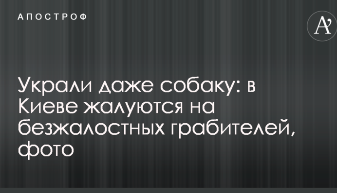 Вкрали навіть собаку: в Києві скаржаться на безжалісних грабіжників, фото