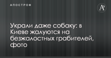 Вкрали навіть собаку: в Києві скаржаться на безжалісних грабіжників, фото