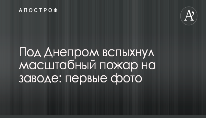 Систему электронных торгов древесиной хотят приватизировать - СМИ