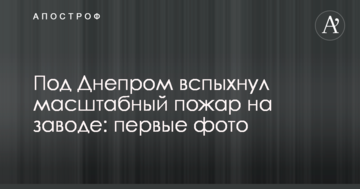 Систему электронных торгов древесиной хотят приватизировать - СМИ