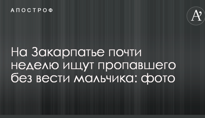 На Закарпатті майже тиждень шукають зниклого безвісти хлопчика: фото