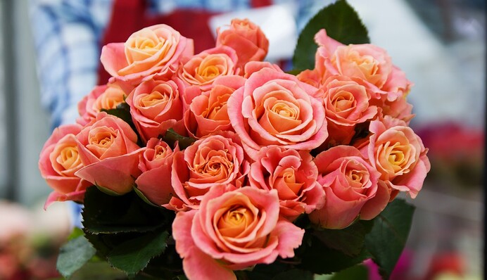 Що подарувати на 8 Березня: топ оригінальних і простих ідей