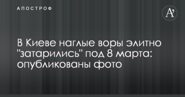 У Києві нахабні злодії елітно "затарилися" під 8 березня: опубліковані фото
