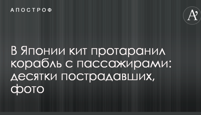 В Японии кит протаранил корабль с пассажирами: десятки пострадавших, фото