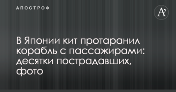 В Японії кит протаранив корабель з пасажирами: десятки постраждалих, фото