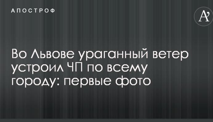 Во Львове ураганный ветер устроил ЧП по всему городу: первые фото