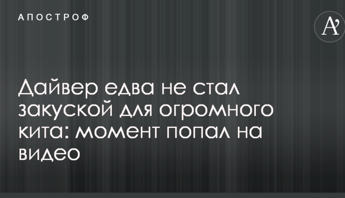 Дайвер ледь не став закускою для величезного кита: момент потрапив на відео