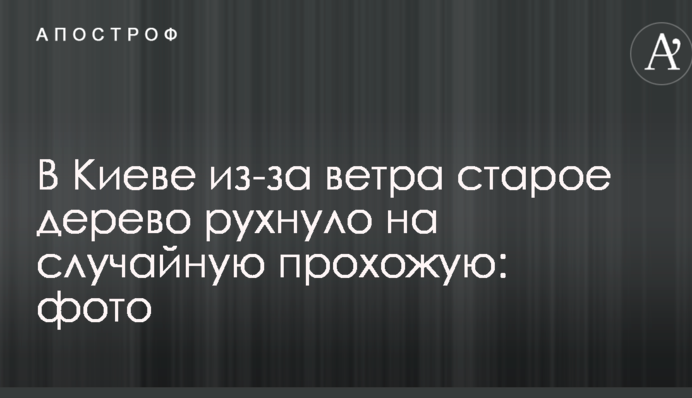 У Києві через вітер старе дерево впало на випадкову перехожу: фото