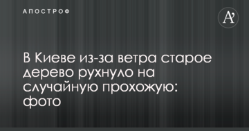 У Києві через вітер старе дерево впало на випадкову перехожу: фото