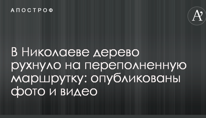 В Николаеве дерево рухнуло на переполненную маршрутку: опубликованы фото и видео