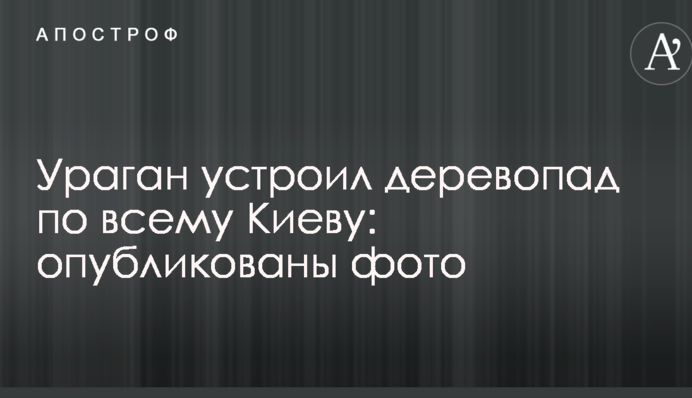 Ураган влаштував деревопад по всьому Києву: опубліковані фото