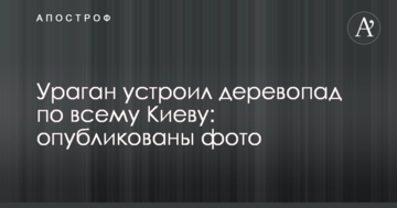 Ураган влаштував деревопад по всьому Києву: опубліковані фото