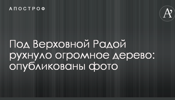 Під Верховною Радою звалилося величезне дерево: опубліковано фото