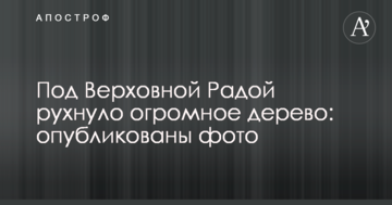 Під Верховною Радою звалилося величезне дерево: опубліковано фото