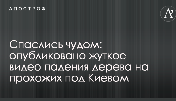 Спаслись чудом: опубликовано жуткое видео падения дерева на прохожих под Киевом