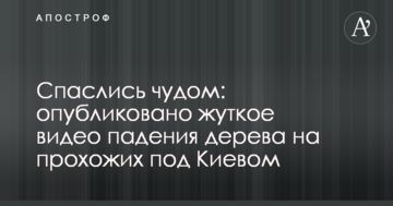 Врятувалися дивом: опубліковано моторошне відео падіння дерева на перехожих під Києвом