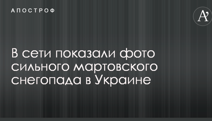 У мережі показали фото сильного березневого снігопаду в Україні