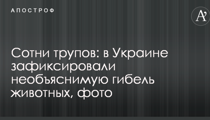 Сотні трупів: в Україні зафіксували незрозумілу загибель тварин, фото