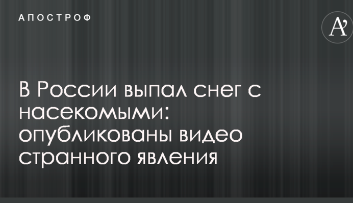 В России выпал снег с насекомыми: опубликованы видео странного явления