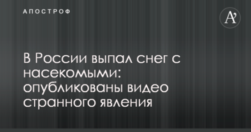 У Росії випав сніг з комахами: опубліковано відео дивного явища