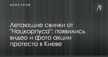Літаючі свинки від "Нацкорпуса": з'явилися відео та фото акції протесту в Києві