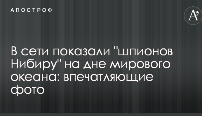 В сети показали 