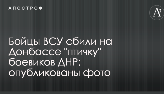 Бійці ЗСУ збили на Донбасі 