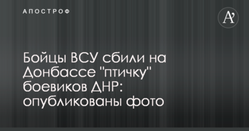 Бійці ЗСУ збили на Донбасі "пташку" бойовиків ДНР: опубліковані фото