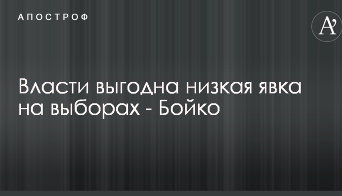 Власти выгодна низкая явка на выборах - Бойко