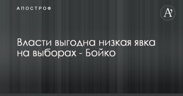Власти выгодна низкая явка на выборах - Бойко