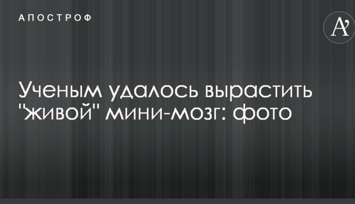 Вченим вдалося виростити 