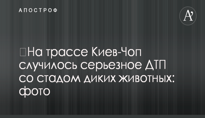 За выход во второй тур будут бороться Зеленский, Тимошенко, Порошенко и Ляшко - свежий соцопрос