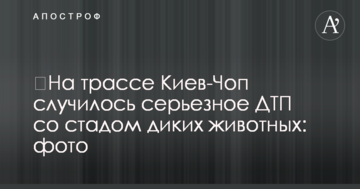 За вихід до другого туру будуть боротися Зеленський, Тимошенко, Порошенко і Ляшко - свіже соцопитування