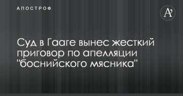 Суд в Гааге вынес жесткий приговор по апелляции "боснийского мясника"