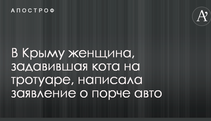 В Крыму женщина, задавившая кота на тротуаре, написала заявление о порче авто